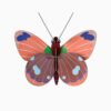 Paper Art "Delias Butterfly"