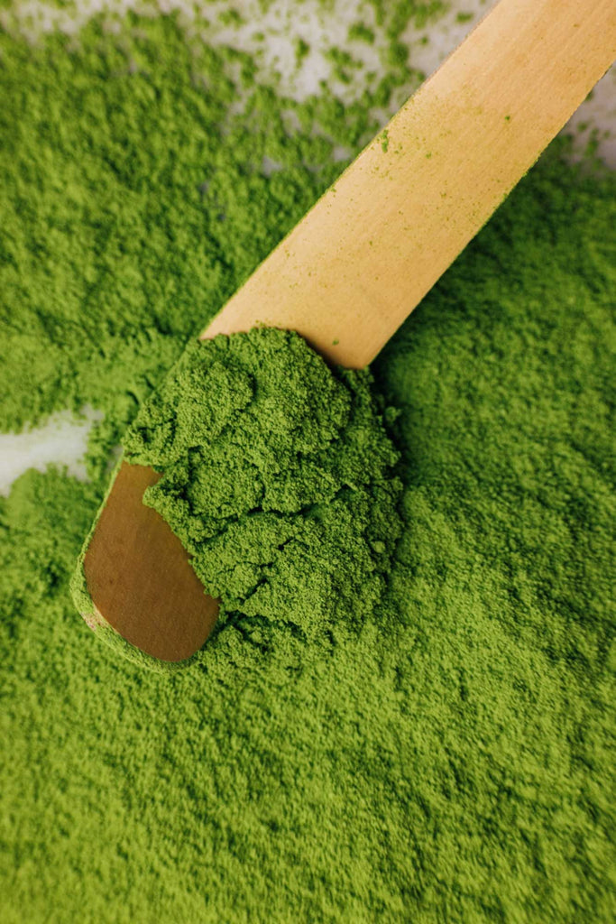 Matcha Tee "Traditional" Bio 50 g