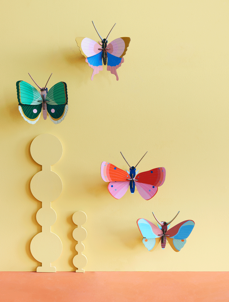 Paper Art "Gold Rim Butterfly"