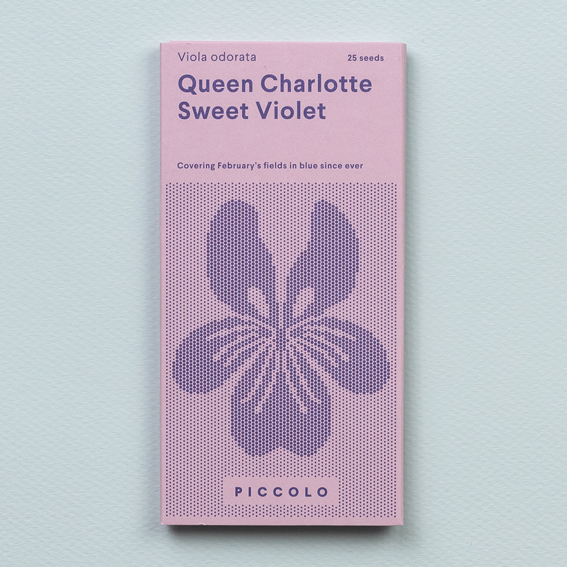 Saatgut "SWEET VIOLET" - Queen Charlotte